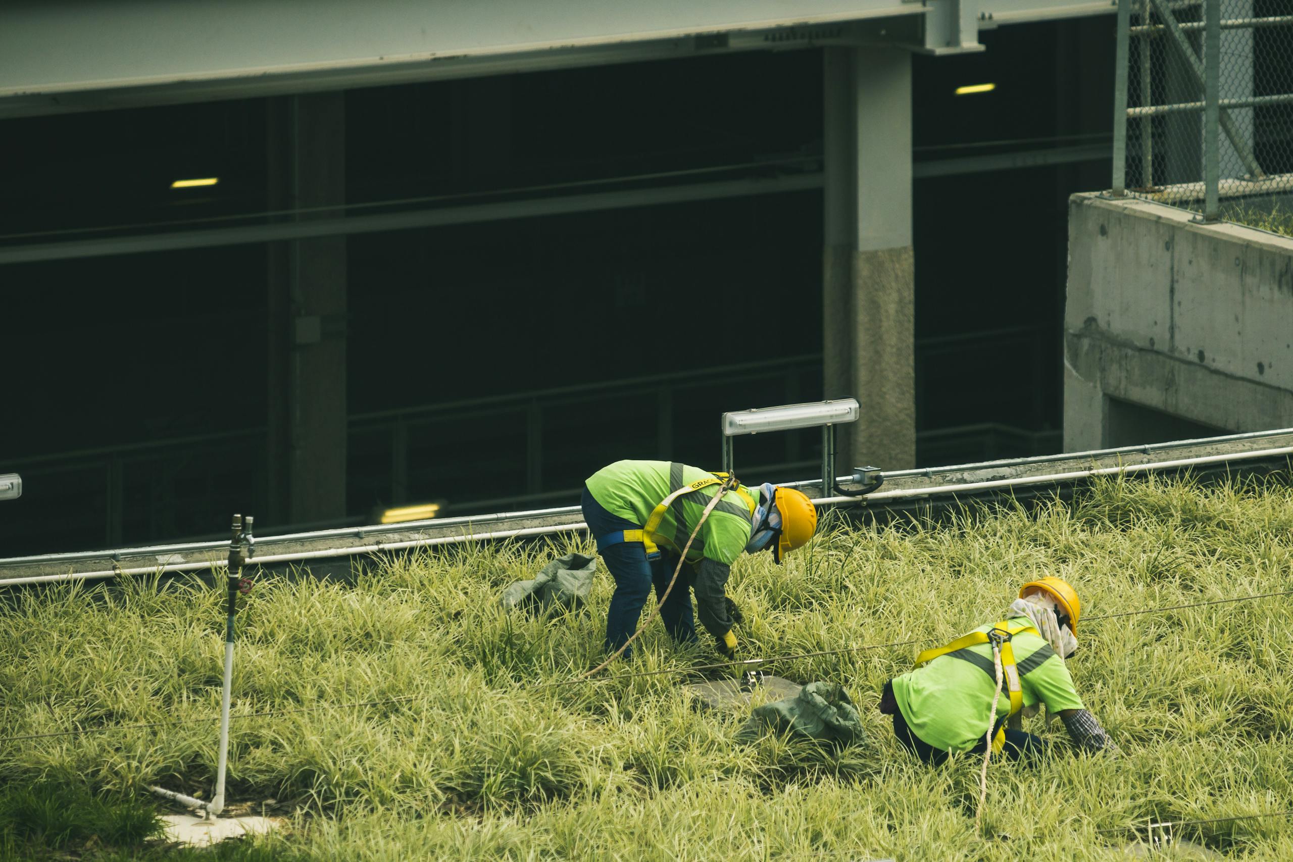 Workers in safety gear tending a rooftop garden in Kowloon, Hong Kong, highlighting urban green spaces.